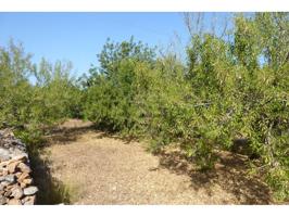 FINCA RUSTICA EN CALIG photo 0