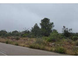 FINCA RUSTICA EN CERVERA DEL MAESTRE photo 0