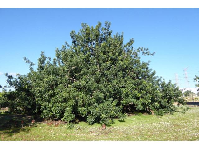 FINCA RUSTICA EN BENICARLO photo 0