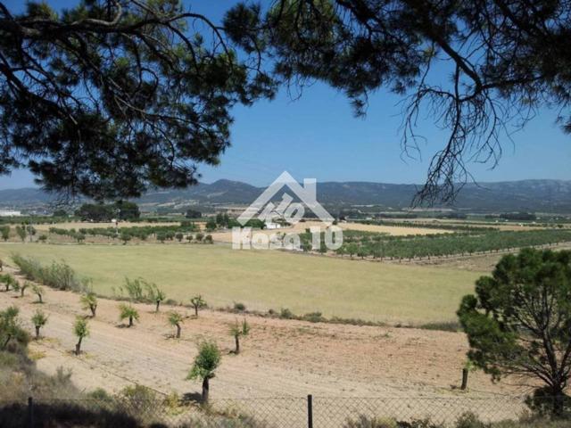 FINCA RÚSTICA EN VENTA photo 0