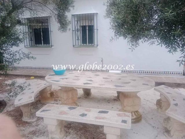 Chalet en alquiler en PINAR DE LOS FRANCESES photo 0