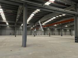 Nave Industrial en Alquiler en Sant Feliu de Buixalleu photo 0