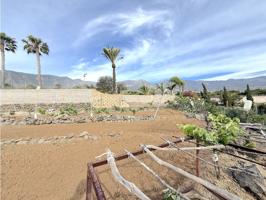 Terreno en venta - Guimar photo 0
