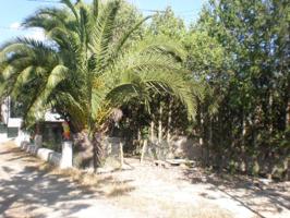 Bonita finca en alquiler photo 0