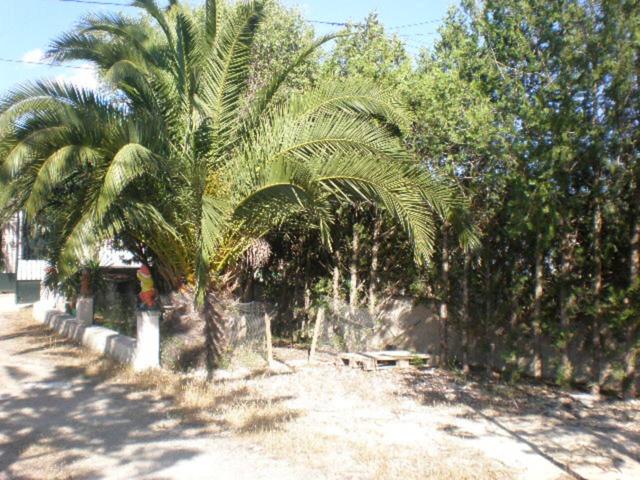 Bonita finca en alquiler photo 0