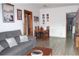 Piso en venta en Gorg-Progrés-Pep Ventura(08912) photo 0