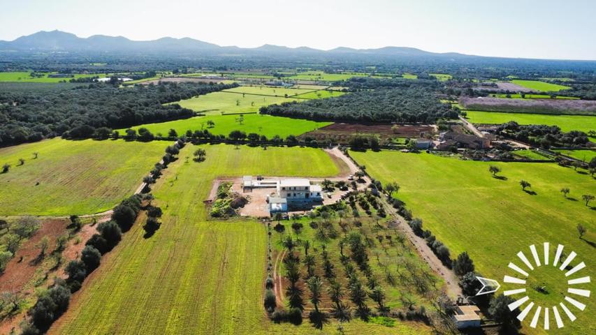 Finca de 380m2 con piscina en Son Mesquida photo 0