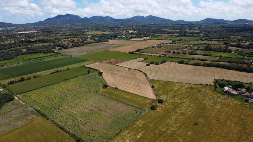 Finca Rústica en venta en Felanitx de 20576 m2 photo 0