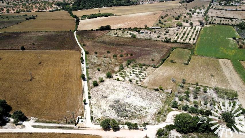 Finca Rústica en venta en Porreres de 30398 m2 photo 0