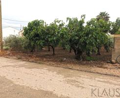 Terreno Urbanizable En venta en Sant Jaume D´enveja, Sant Jaume D Enveja photo 0