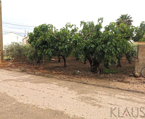 Terreno Urbanizable En venta en Sant Jaume D´enveja, Sant Jaume D Enveja photo 0