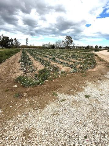 Terreno Urbanizable En venta en Rustica, Sant Jaume D Enveja photo 0