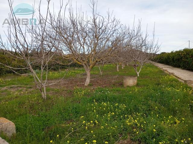 Terreno Urbanizable En venta en Pego photo 0