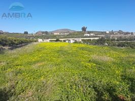 Terreno Urbanizable En venta en Pego photo 0