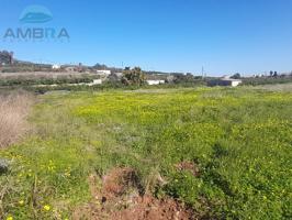 Terreno Urbanizable En venta en Pego photo 0