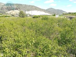 Terreno Urbanizable En venta en Adsubia photo 0