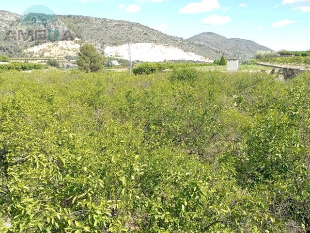Terreno Urbanizable En venta en Adsubia photo 0
