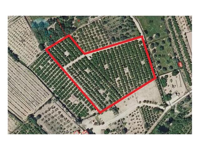 Terreno Urbanizable En venta en Orba photo 0