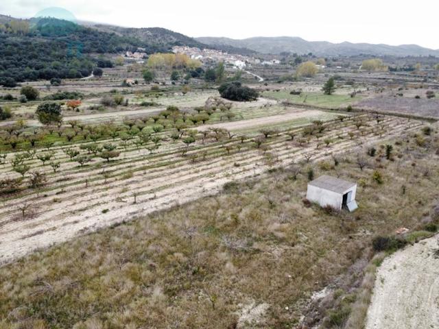 Terreno Urbanizable En venta en La Vall D'Alcalà photo 0