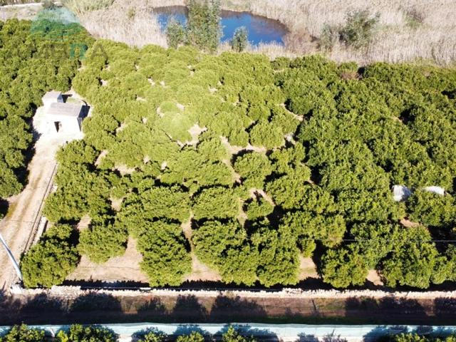 Terreno Urbanizable En venta en Pego photo 0