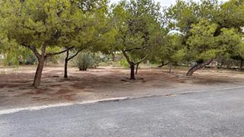 Se vende bajo cerca del Postiguet photo 0