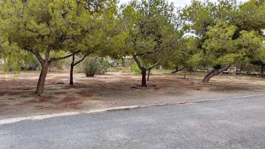 Se vende bajo cerca del Postiguet photo 0
