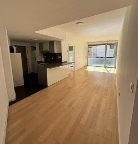 ALQUILER DE VIVIENDA ZONA CENTRO DE ALICANTE SIN AMOBLAR photo 0