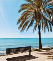 PISO EN VENTA JUNTO A LA PLAYA DE LEVANTE photo 0