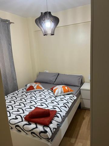 VENTA DE VIVIENDA REFORMADA DE 3 DORMITORIOS ZONA CAROLINAS BAJAS photo 0