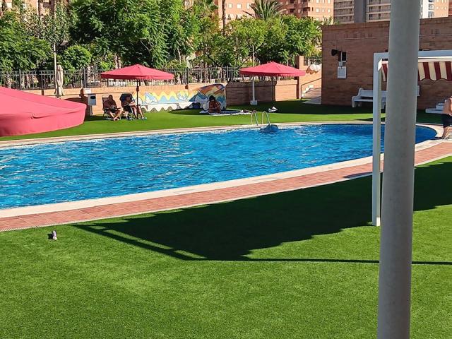 ¡OPORTUNIDAD PARA INVERSORES EN OROPESA! photo 0