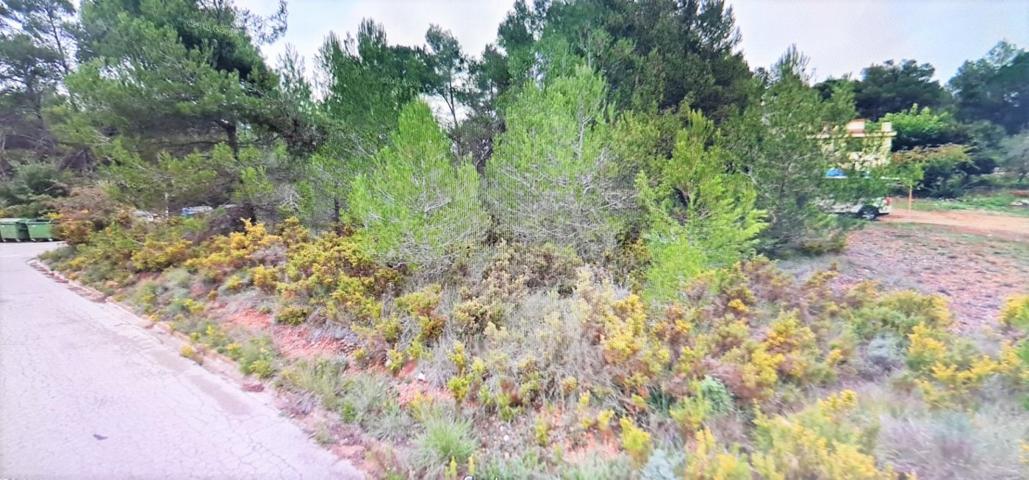 PARCELA DE 1017M² EN PLENA NATURALEZA EN LA MOIXETA A PRECIO MUY ECONOMICO photo 0