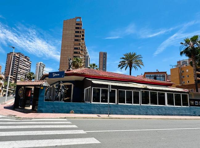 Local En alquiler en Benidorm photo 0