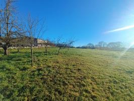 Venta de terreno en Lalín photo 0