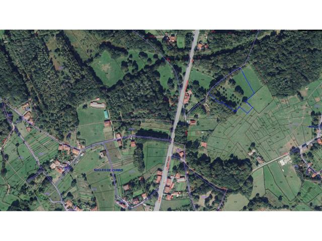 Venta - Finca Rústica en Lalín photo 0