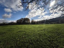 Venta de terreno en Camposancos, Lalín photo 0