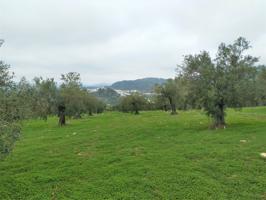 Espectacular finca en la localidad de Alozaina photo 0