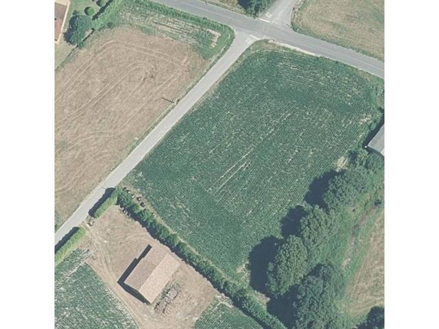 Oportunidad Única: Finca Urbana de 2730 m2 en el Corazón de Rois. photo 0