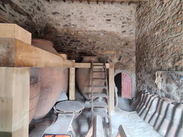 Alquiler de bodega típica en El Molar photo 0