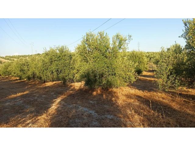 Terreno en venta en La Paz-Las Américas-Estación Linares-Baeza(23700) photo 0