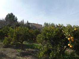Casa cortijo de 9 dormitorios, con olivos y naranjos en Illar photo 0