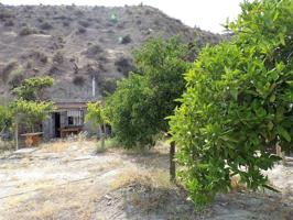 Venta de una finca en Instinción photo 0