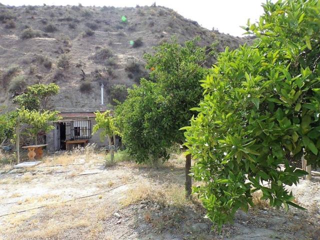 Venta de una finca en Instinción photo 0