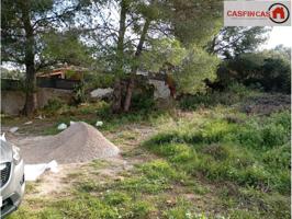 No edificable - FINCA RÚSTICA 471 M2 EN CORRAL D'EN TORT - VILANOVA - CUBELLES photo 0