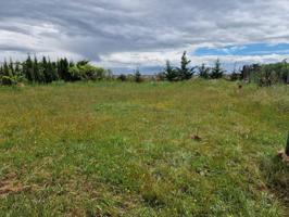 ¡Terreno en venta en Matarrubia! photo 0