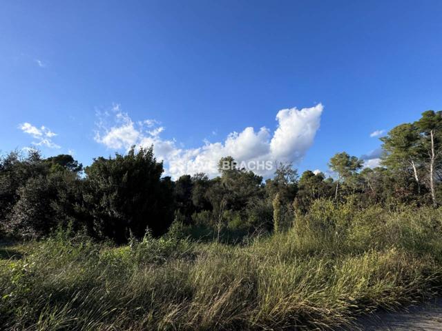 Terreno en venta en L'Ametlla del Vallès photo 0