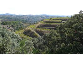 Finca rustica en venta en El Lloar photo 0