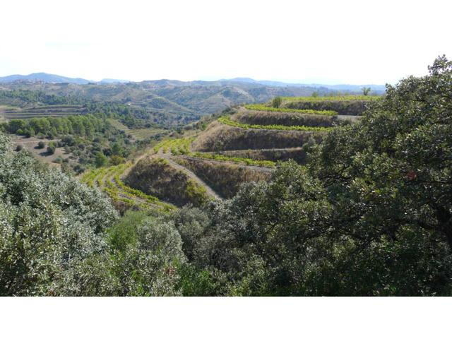 Finca rustica en venta en El Lloar photo 0