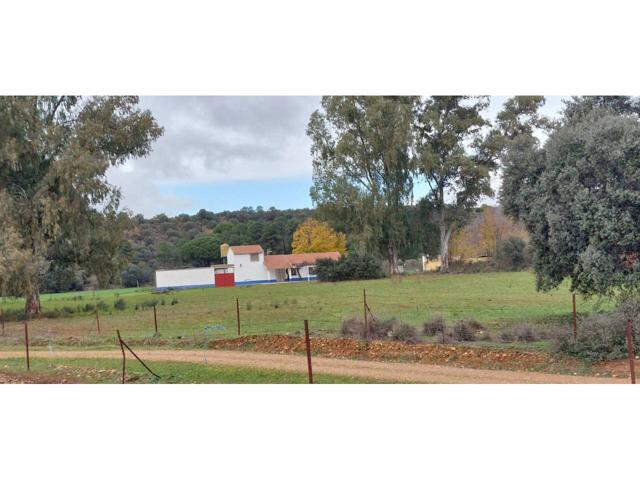 Chalet rustico en venta en Piedrabuena photo 0
