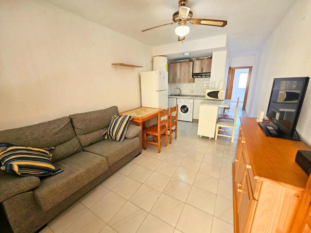 SE ALQUILA PARA TODO EL AÑO photo 0