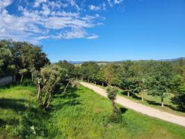 Construye el Hogar de tus Sueños photo 0